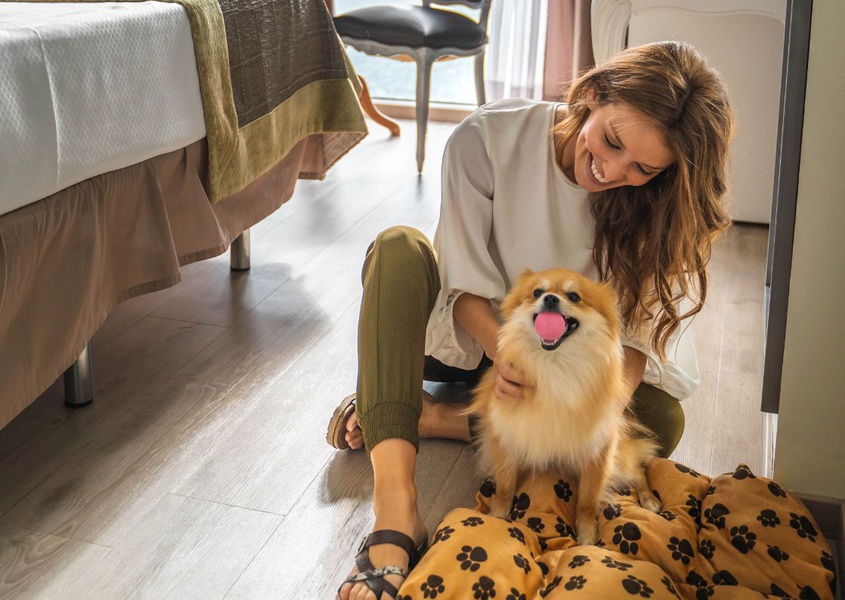 Viaja con tu mascota Hotel Villa Venecia Boutique Gourmet Benidorm